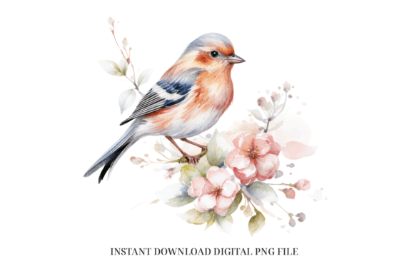 Finch Clipart PNG – Watercolor Bird: A Designer’s Review for Real Small Business Branding