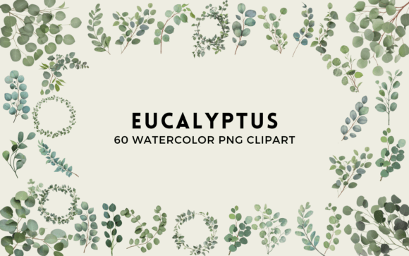 h160 Watercolor Eucalyptus PNG Clipart for Real Crafting and Handmade Business Use/h1