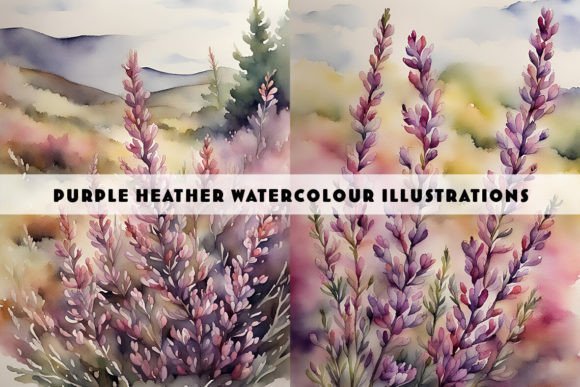 Heather Plant Watercolour Illustrations: A Fresh Visual Asset for Bloggers and Publishers