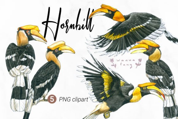 Hornbill Watercolor Animal Clipart, PNG: A Designer’s Real-World Embroidery Review