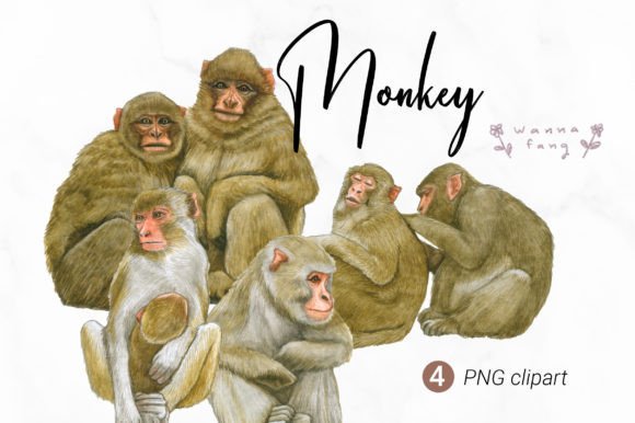 Monkey Watercolor Animal Clipart Adds Whimsy to Branding and Packaging Projects
