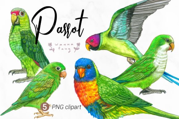 Parrot Watercolor Animal Clipart, PNG