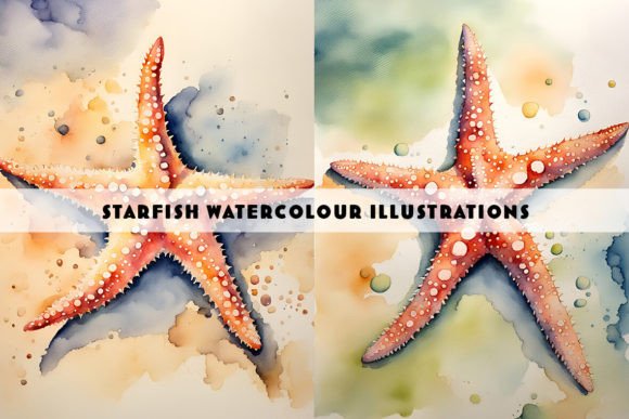 Starfish Watercolour Illustrations: A Fresh Design Asset for Brand Storytelling