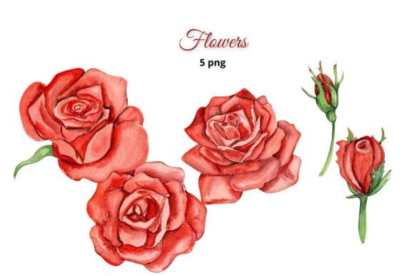 Watercolor Roses Illustrations: A Brand Designer’s Review for Marketing Visuals
